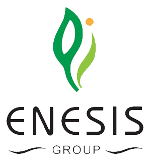 enesis group
